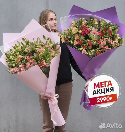 Свежие Альстромерии в Букете. Доставка Цветов