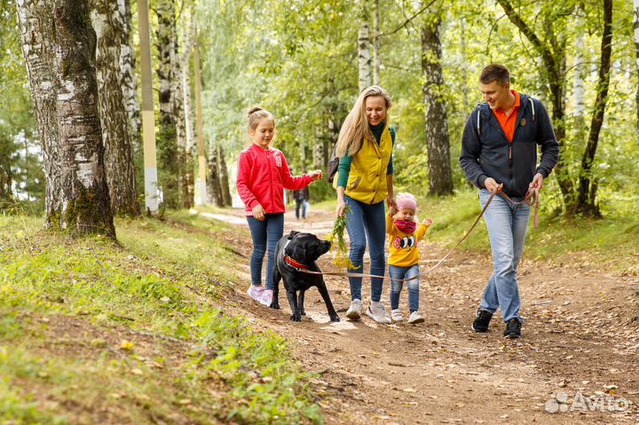 Семейная фотосессия