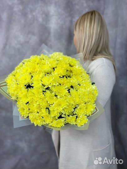 Цветы Хризантемы букет