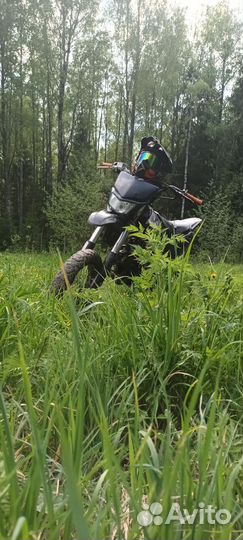 Ирбис ттр125