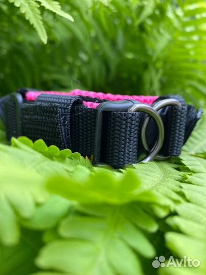 Амуниция для собак(ошейники, поводки и тд)