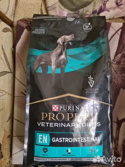 Сухой корм для собак