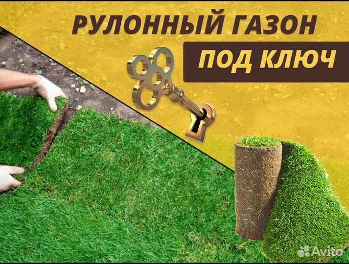 Элитный рулонный газон от производителя