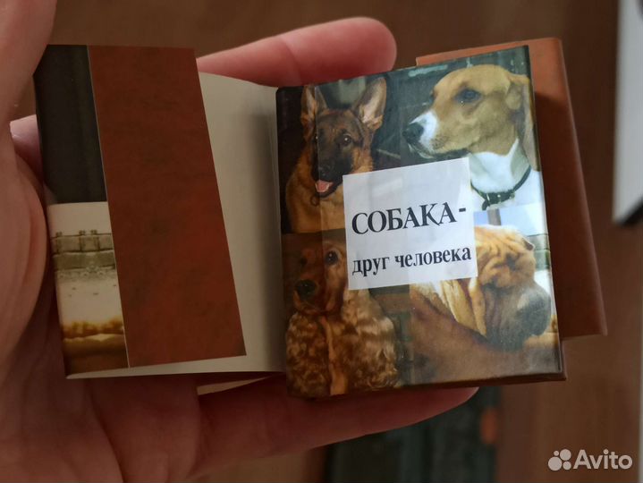 Мини-книжка про собак