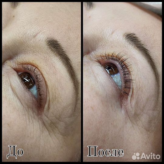 Мастер бровист