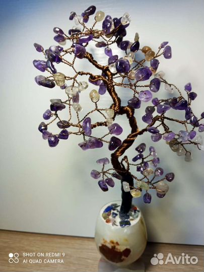 Дерево бонсай