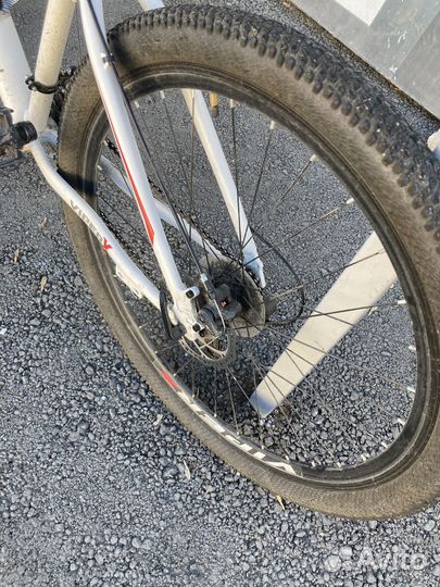 Горный велосипед 29