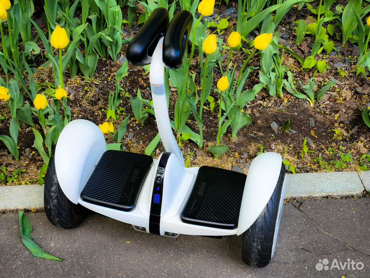 Настоящие мини-сигвеи Ninebot в ассортименте