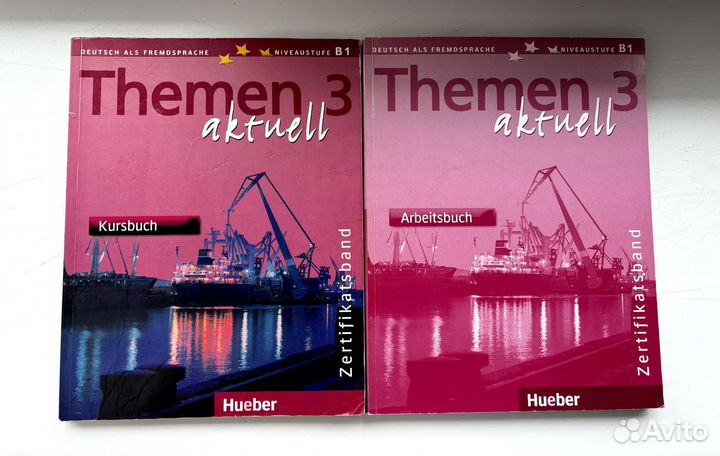 Книга+рабочая тетрадь Themen 3 aktuell