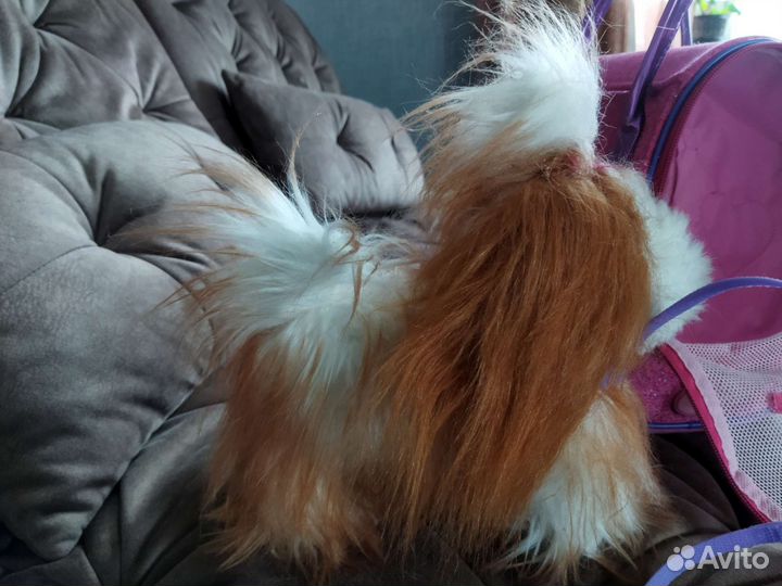 Мягкая игрушка собачка