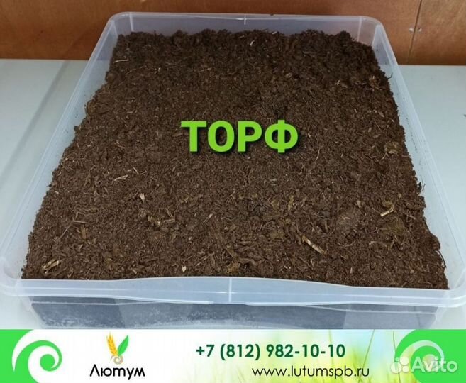 Торф низинный