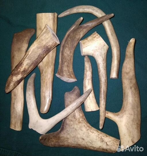 Рога оленя для собак, лакомство для собак