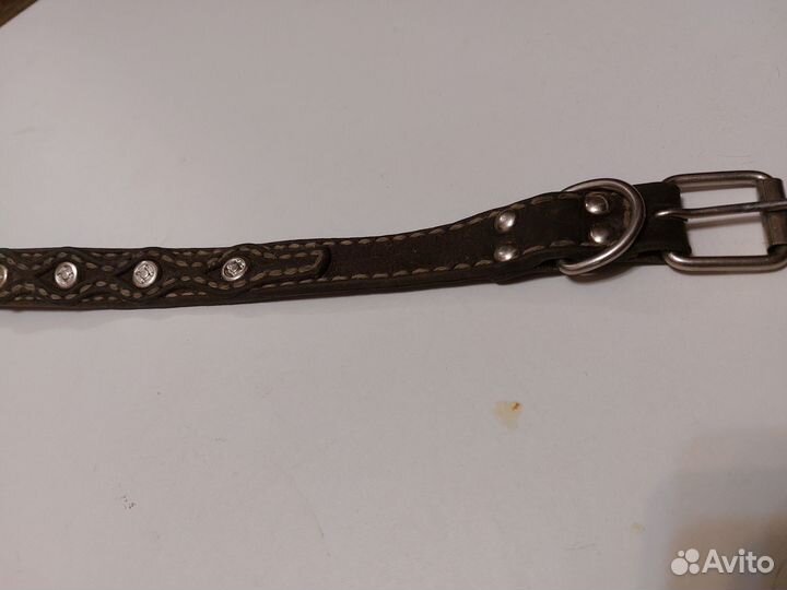 Собачий ошейник