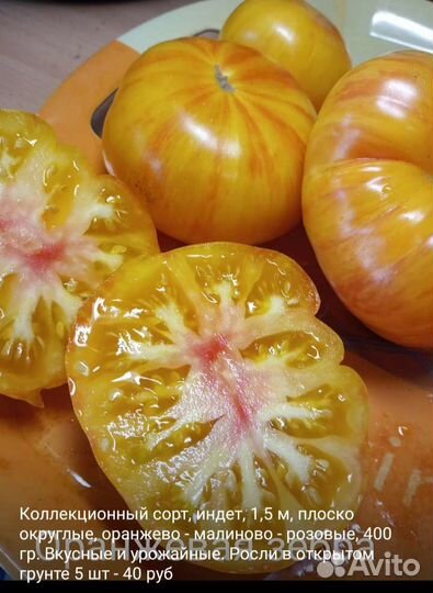 Помидоры семена