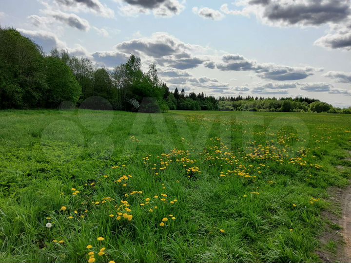 Участок 6,3 сот. (ИЖС)