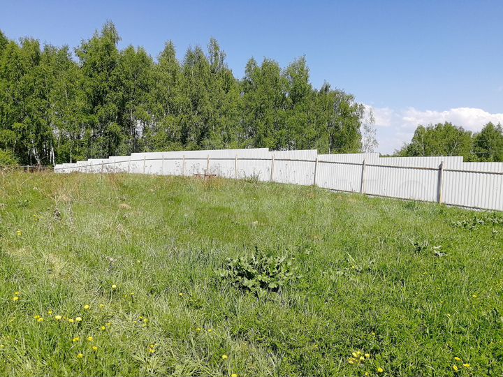 Участок 16 сот. (СНТ, ДНП)