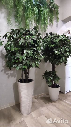 Искусственное дерево Фикус