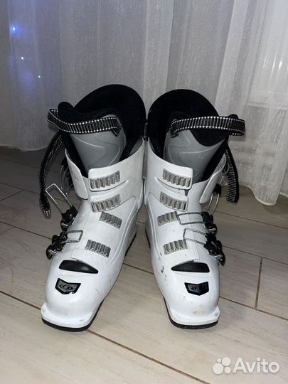 Горные лыжи