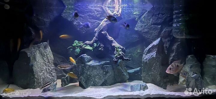 Аквариум Atman - FR 1000M 220л