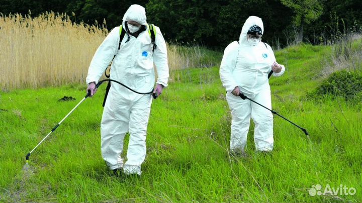 Дезинфекция