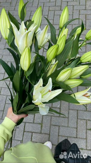 Лилии цветы букеты