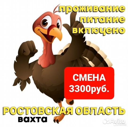 Разнорабочие. вахта ростовская область