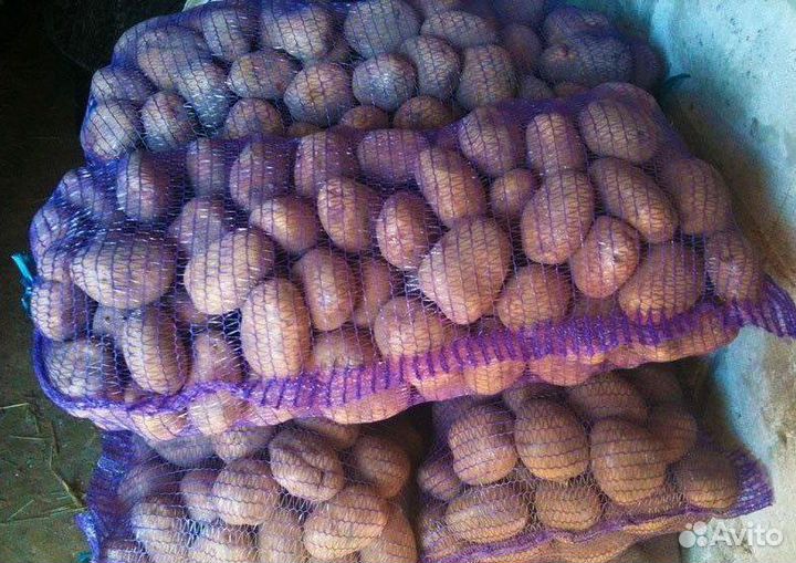 Картофель деревенский с доставкой