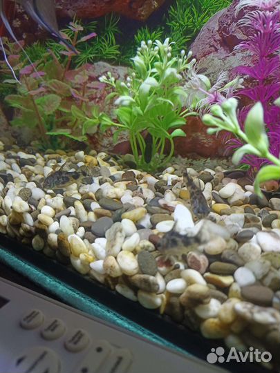 Аквариум 98л