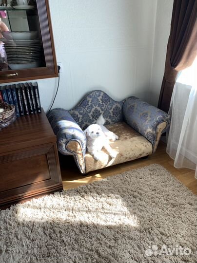 Лежанка для питомца