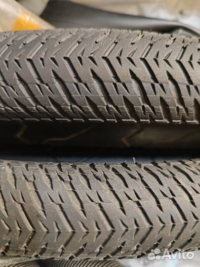 Early rider 20 urban