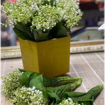 Ландыши букет, Махачкала