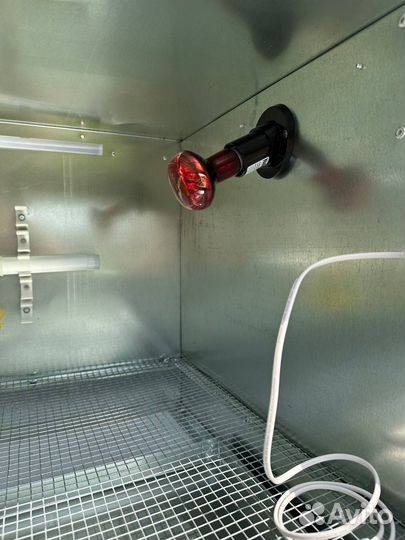 Брудер для цыплят