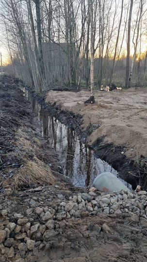 Участок 19,5 сот. (ИЖС)