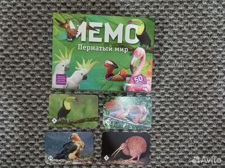Игра мемо птицы