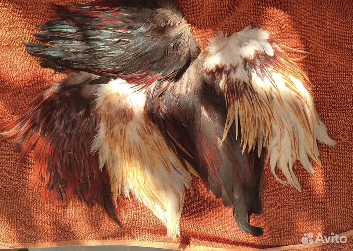 Для вязания