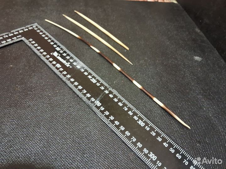 Иглы дикобраза. Ракушка рапан