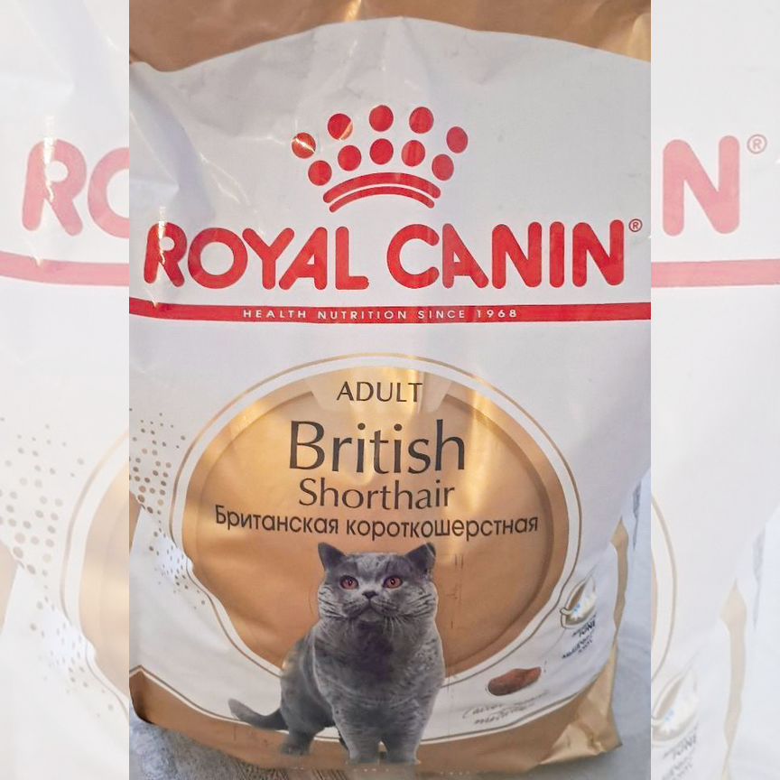 Корм для кошек royal canin british