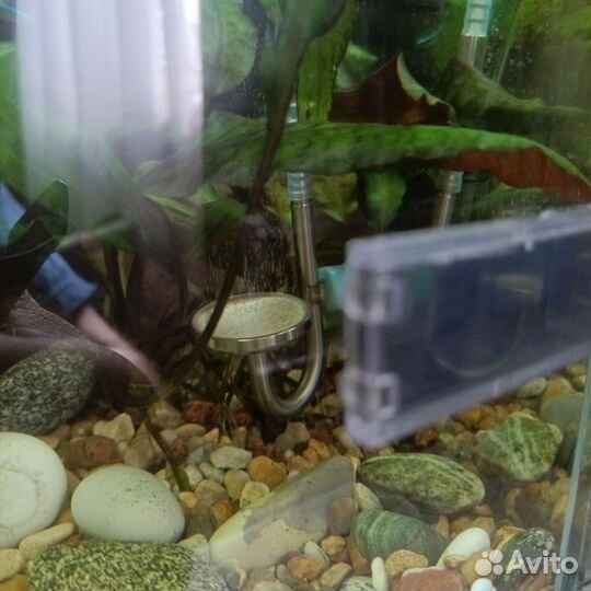 Генератор со 2 для аквариума 5 литров