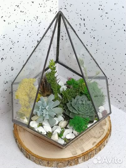 Флорариум - стильный подарок