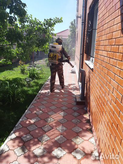 Уничтожение тараканов клопов блох муравьев клещей