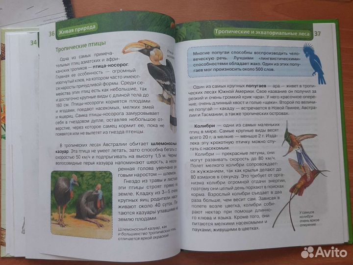 Книга энциклопедия живая природа
