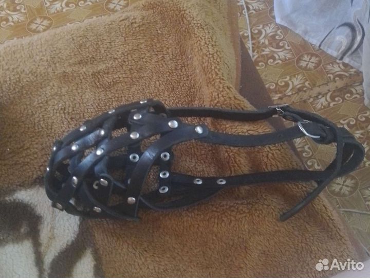 Намордник для собак