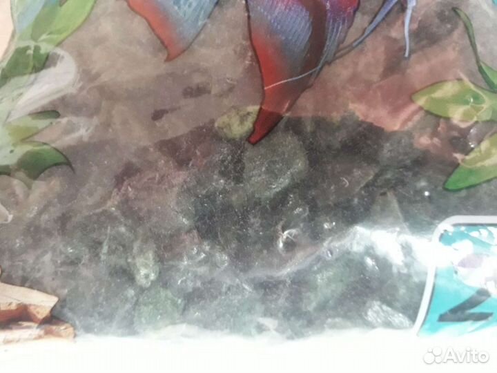 Грунт для аквариума