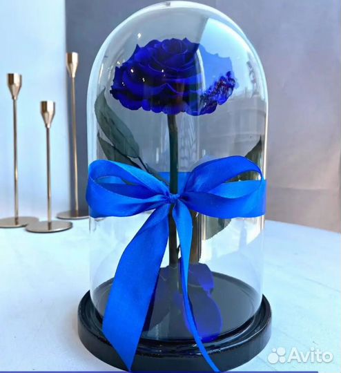 Роза в колбе