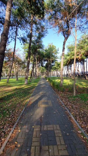 Апартаменты-студия, 35,9 м², 2/7 эт.