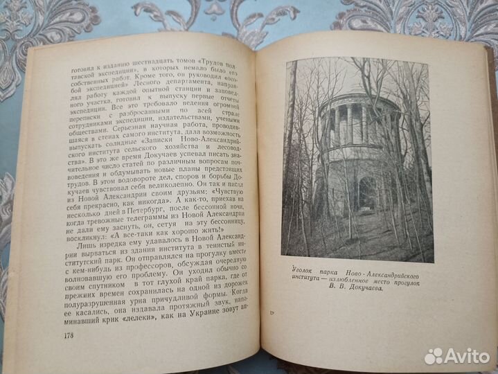 Крупениковы И. и Л. В.В. Докучаев (1846 - 1903)
