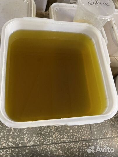 Мёд свежий оптом. Цветочный, качка 2023г