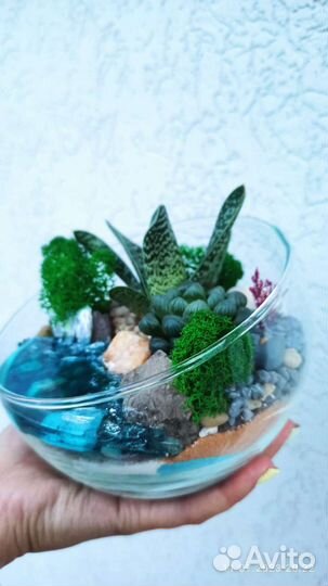 Флорариум. Живые цветы. Подарок