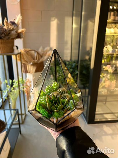 Флорариум цветы подарок