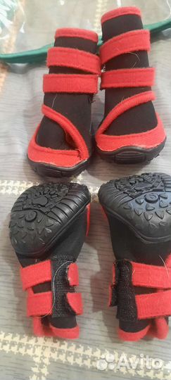 Ботиночки для собак